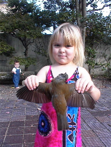 bird