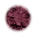 Calypso