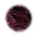 Mulberry