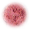 Pink Carnation