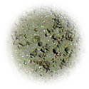 Silver Moss