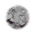 Silver Leaf