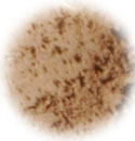 Tester: Coffee Bean